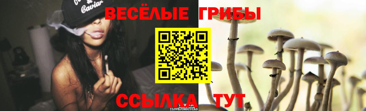 Галлюциногенные грибы мухоморы  Вход с VPN  Ленинск-Кузнецкий 